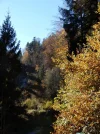 004.webp