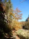 009.webp