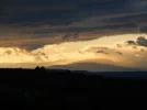001.webp
