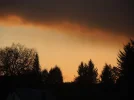 DSCN6169.webp