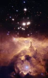 lobster-nebula-1920618_1920.webp