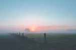fog-1494433_1920.webp