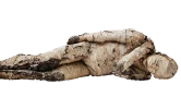 man-2160602_1920.webp