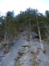 001.webp