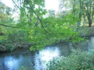 Fluss.webp