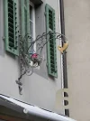 Aarau & Zofingen 007.webp