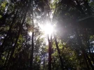 desc0303.webp