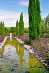 Alhambra Teich Herzog.webp