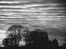 DSCN6264.webp