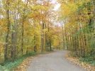 DSCF5156 (2).webp