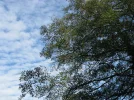IMG_2480.webp