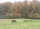 DSCF5094 (2).webp