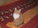 Karli.webp