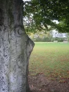 DSCN5882.webp