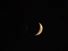 DSCN6370.webp
