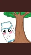 Milch.webp