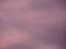 DSCN6358.webp