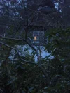 CIMG2444.webp