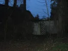CIMG2455.webp