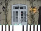 CIMG2474.webp