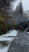 20171130_092024.webp