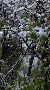 20171130_092032.webp