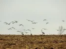 DSCF5222 (2).webp