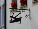 Aarau & Zofingen 033.webp