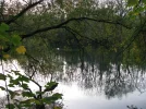 IMG_2476.webp