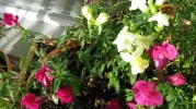 IMG_2544 (2).webp