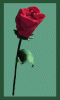 25B.GIF