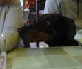 t1sl2g890eo.webp