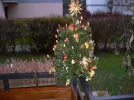 Balkonbaum.webp