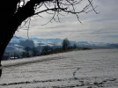 001.webp