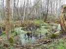 DSCF7054 (2).webp