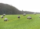 DSCF7044 (2).webp