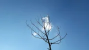 20170706_181538.webp