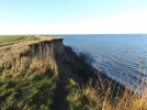 DSCF7099.webp