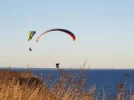 DSCF7125 (2).webp
