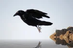 Jump.webp