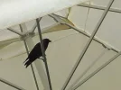 20160611_112620.webp