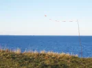 DSCF7094 (2).webp