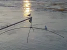 DSCN3945.webp