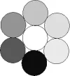 Graukreise.webp