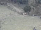 P1261533.webp