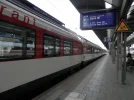 P1251422.webp