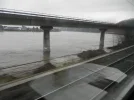 P1251360.webp