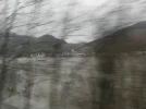 P1271698.webp