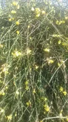 20180131_140213.webp