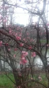 20180201_090610.webp